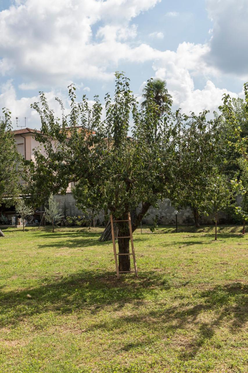 La Chiusa Delle Monache ルッカ エクステリア 写真